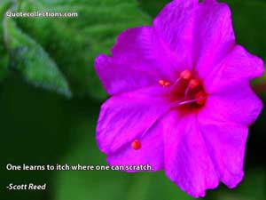 scott_reed_quotes Quotes 4